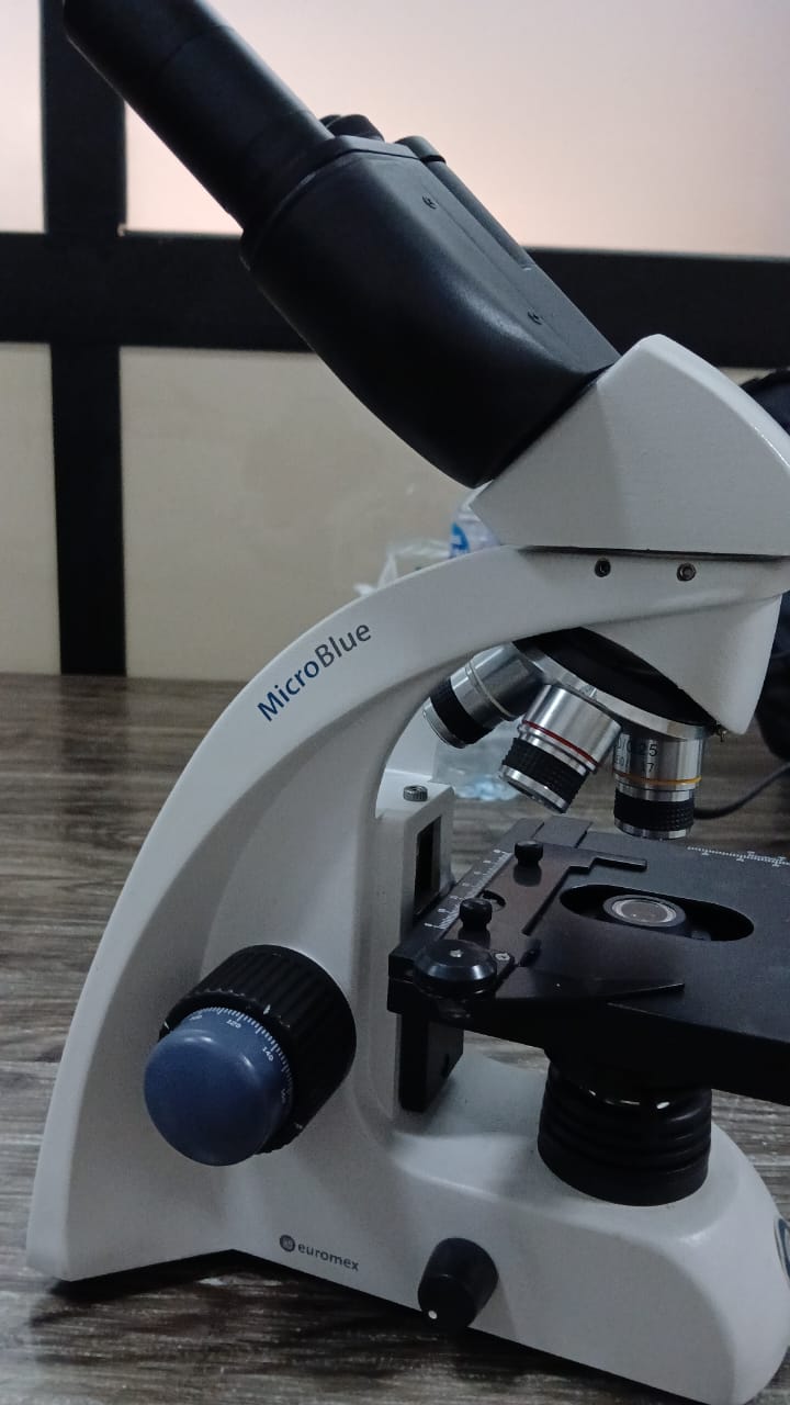 FT-Infrared spectroscopy